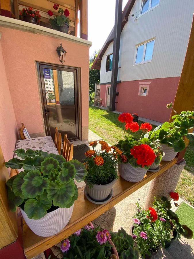 Apartman Kaljevic Apartman Žabljak Kültér fotó